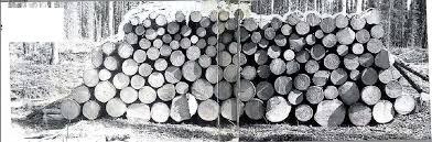 9.-Firewood.jpg
